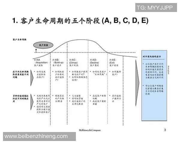 南京排球队在欧锦赛中的团队协作表现分析与启示